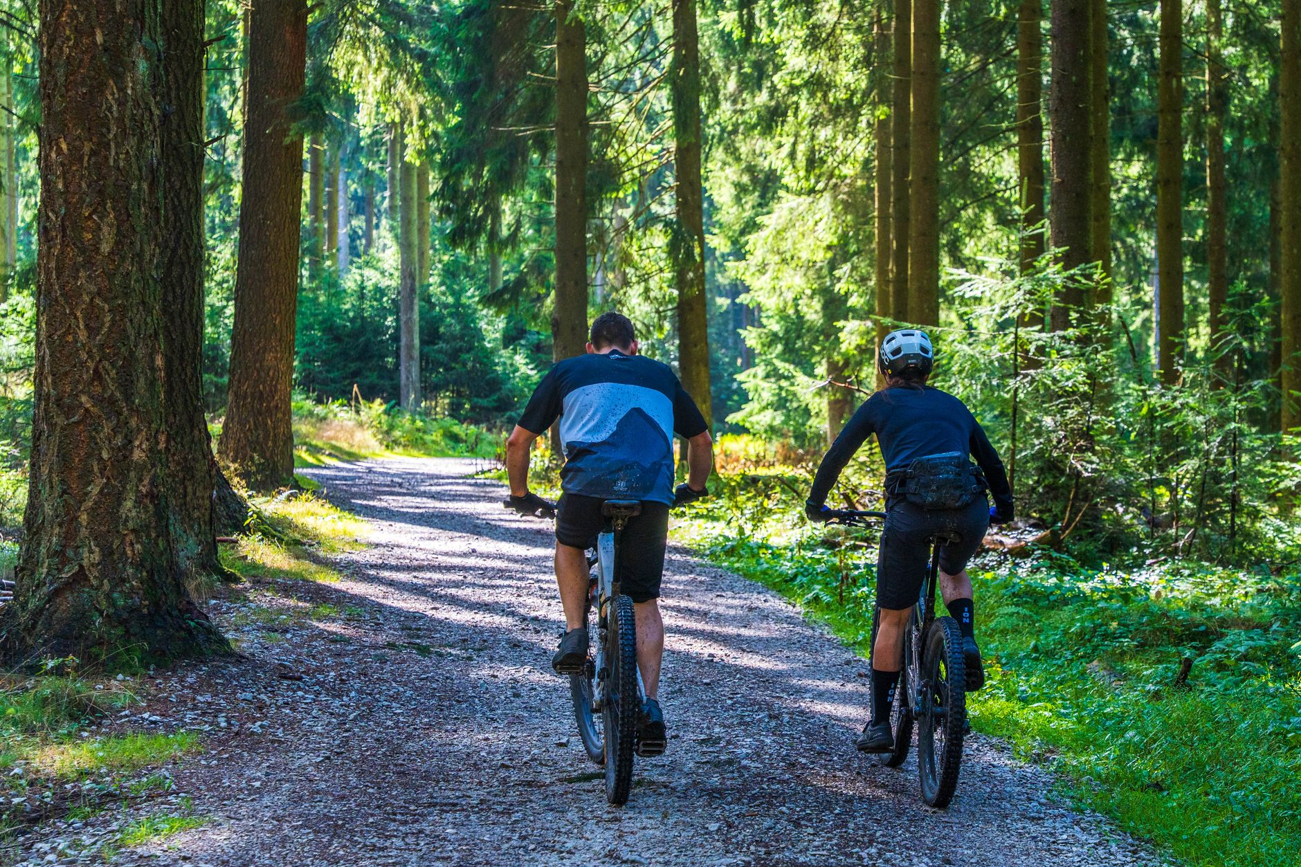 Due ciclisti in mountain bike su un sentiero forestale illuminato dal sole