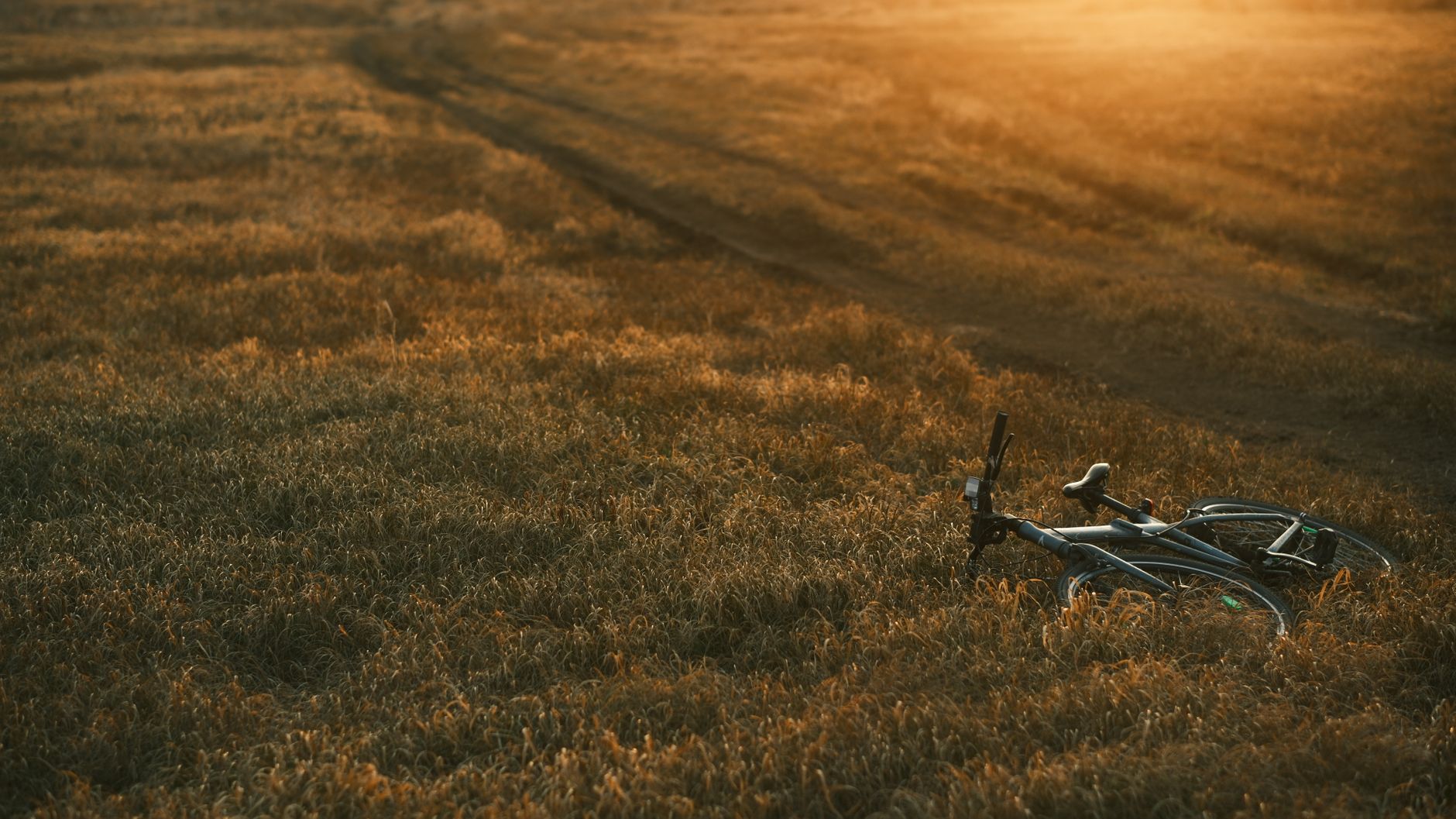 Una bicicletta solitaria in un campo dorato al tramonto, simbolo di direzione futura e rete ciclabile che si estende all'orizzonte